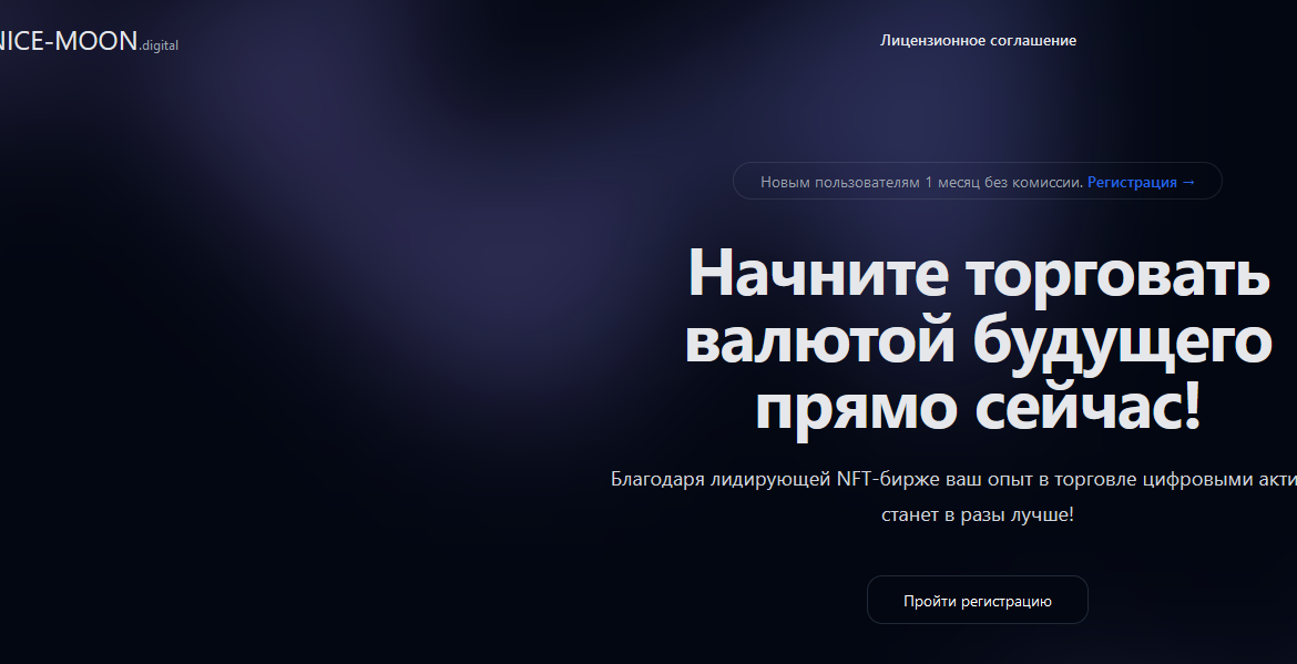 Nice-Moon мошеннический проект